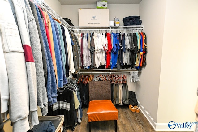 spacious closet featuring wood-type flooring