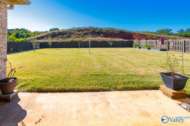 view of yard with a patio