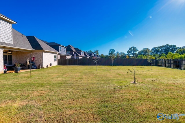 view of yard featuring a patio area