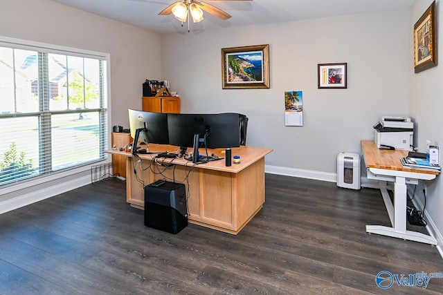 office featuring dark hardwood / wood-style floors and ceiling fan