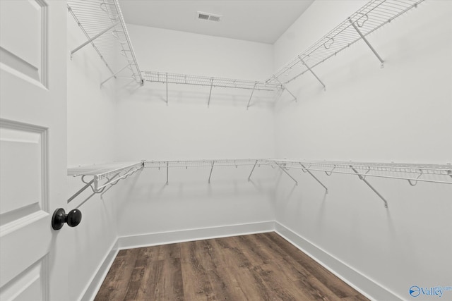 spacious closet featuring dark hardwood / wood-style flooring