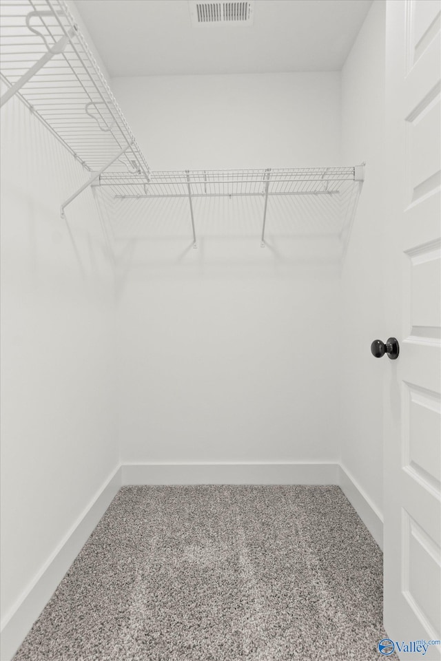 walk in closet with carpet flooring