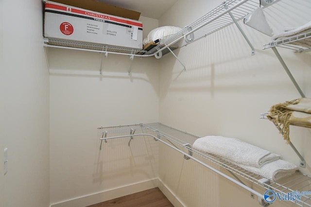 spacious closet featuring wood finished floors