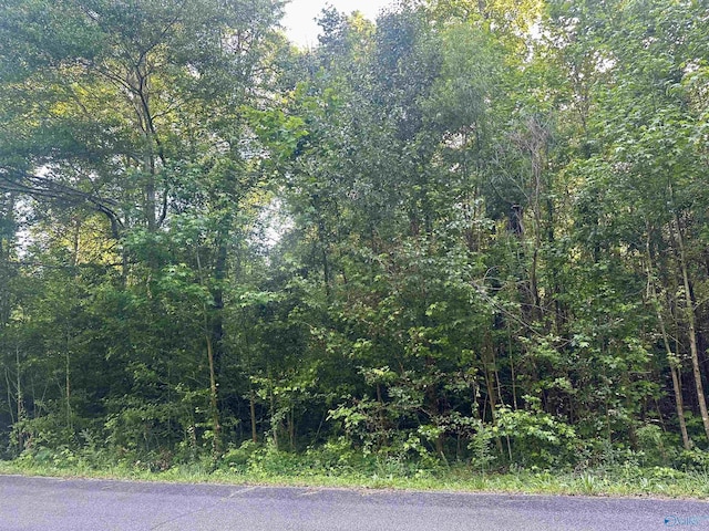 8 Creekside Dr, Arab, AL 35016