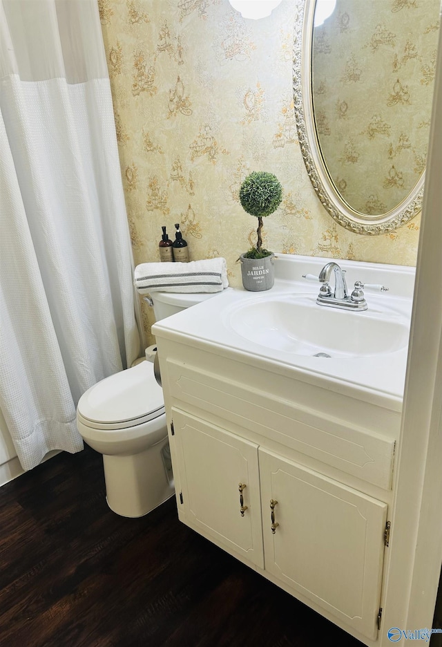 2010 Youngs Chapel Rd, Piedmont, AL 36272 - full bath featuring wallpapered walls, toilet, vanity, and wood finished floors