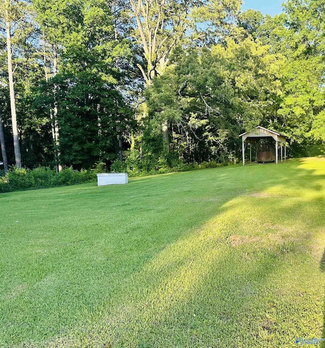 2010 Youngs Chapel Rd, Piedmont, AL 36272 - view of green lawn featuring a carport