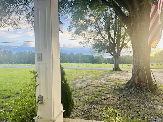 2010 Youngs Chapel Rd, Piedmont, AL 36272 - view of grassy yard featuring a view of rural / pastoral area