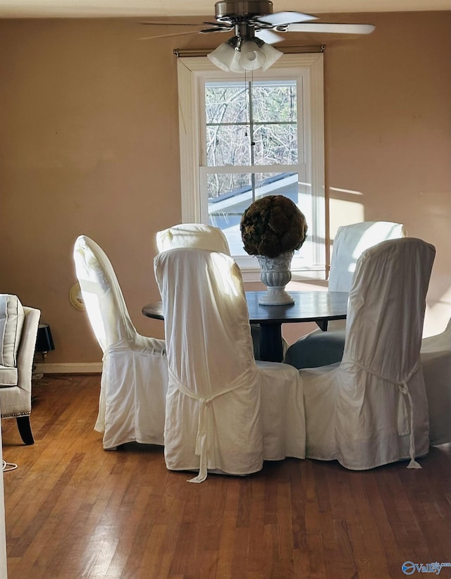 2010 Youngs Chapel Rd, Piedmont, AL 36272 - dining area with a ceiling fan and hardwood / wood-style floors