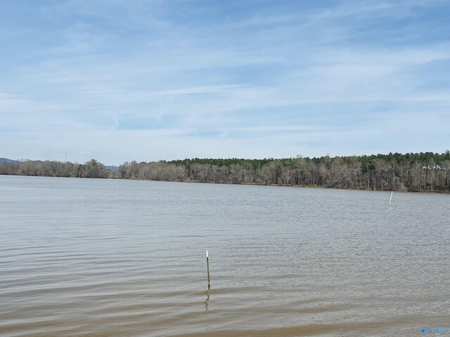 450 County Road 803, Centre, AL 35960 - property view of water featuring a dock and a wooded view