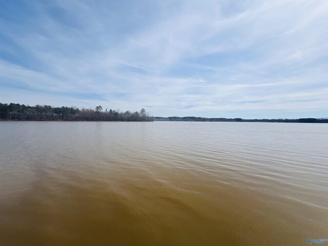 450 County Road 803, Centre, AL 35960 - view of water feature