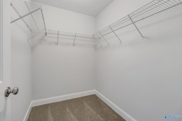 spacious closet with carpet floors