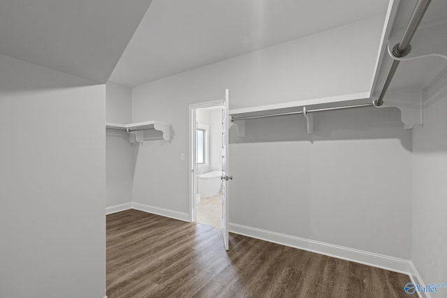 walk in closet with wood finished floors