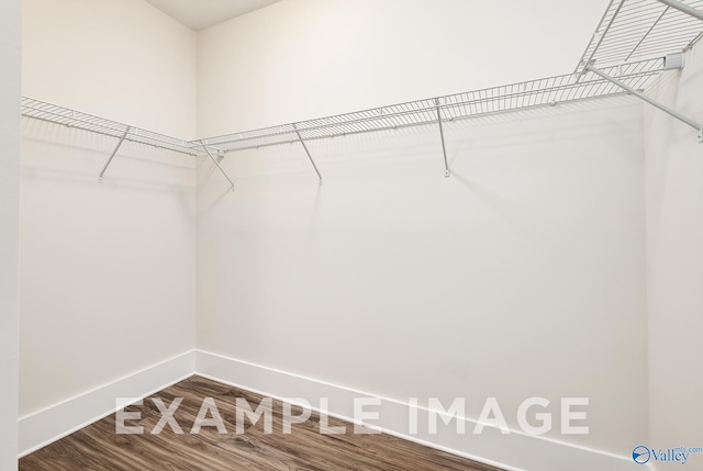 spacious closet featuring hardwood / wood-style flooring