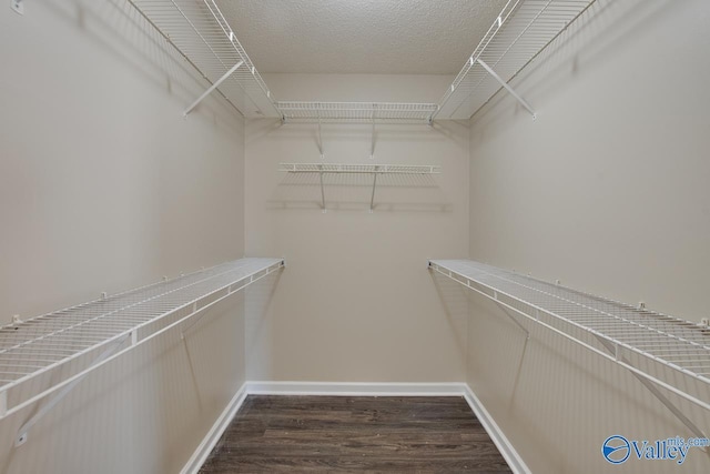 spacious closet with dark wood-type flooring