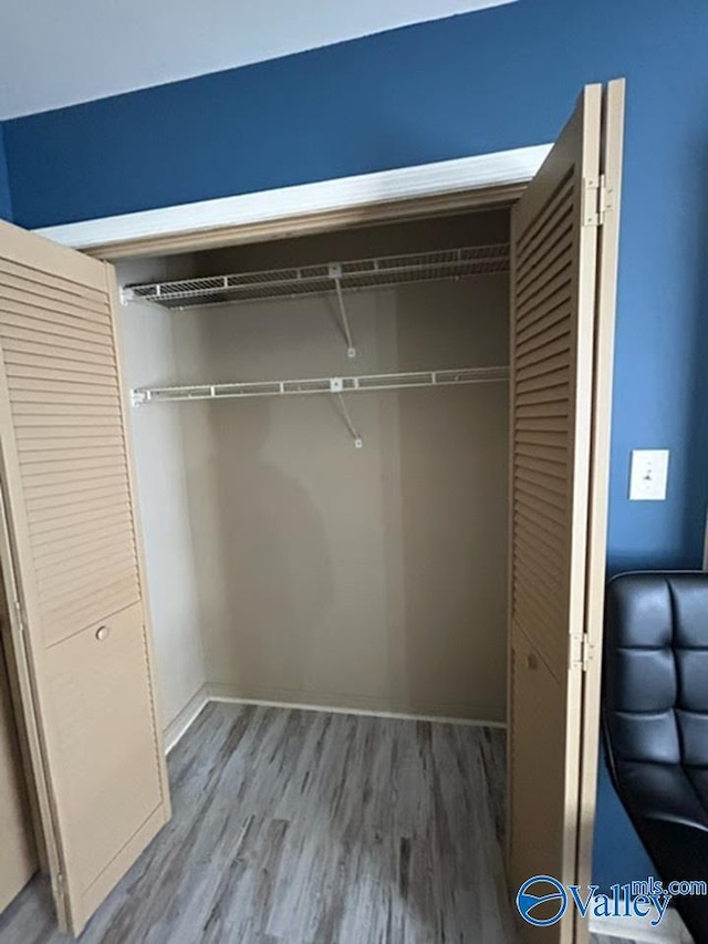 view of closet