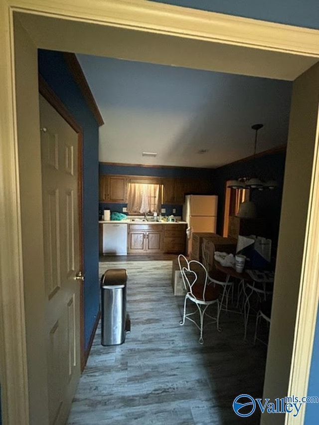 kitchen featuring sink, hardwood / wood-style floors, and white fridge