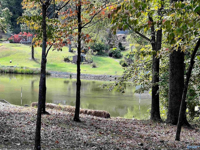 view of water feature