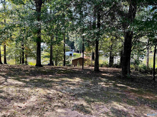 view of yard with a water view