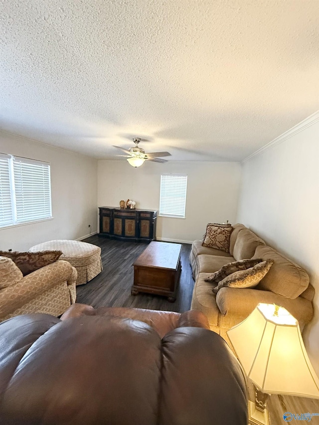 living room with ceiling fan, crown molding, dark wood-type flooring, and a textured ceiling