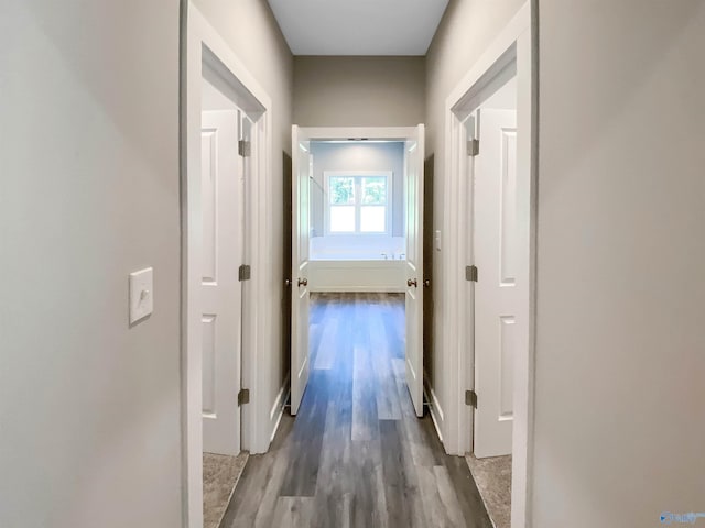 corridor featuring hardwood / wood-style floors