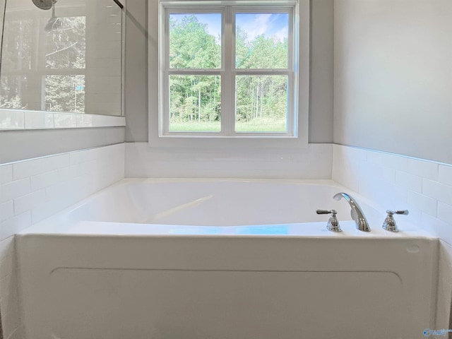 bathroom featuring a washtub