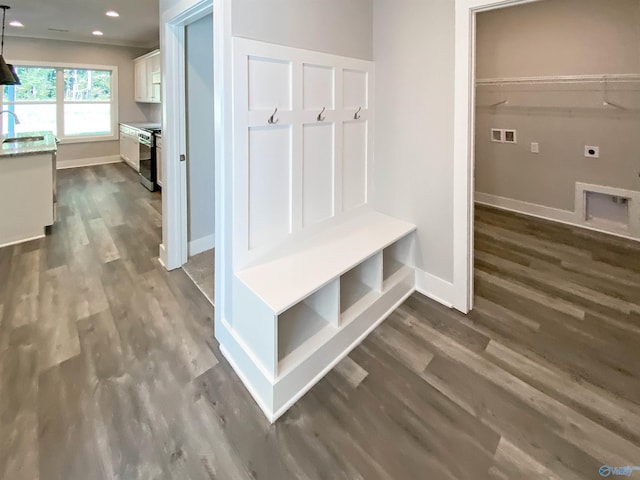 mudroom with dark hardwood / wood-style floors and sink