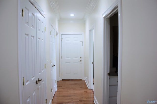 hall featuring crown molding and light hardwood / wood-style floors