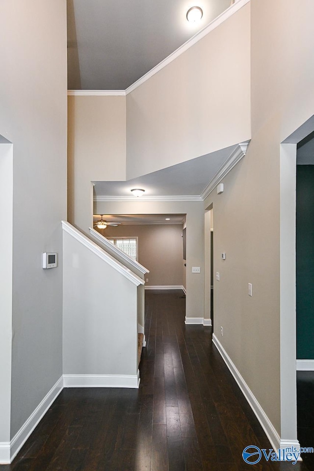 corridor featuring dark hardwood / wood-style flooring and crown molding