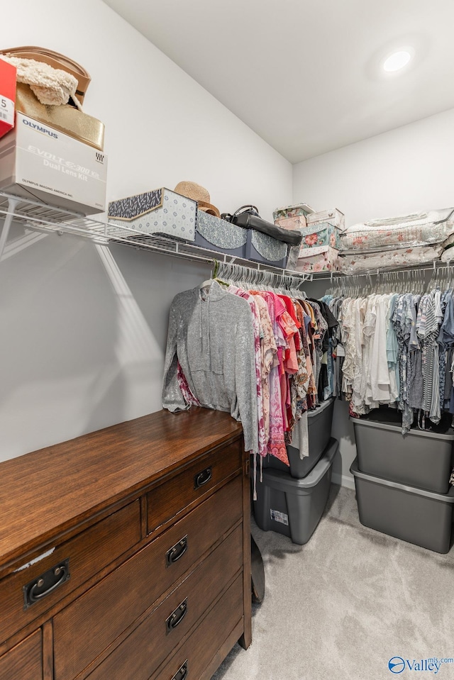 spacious closet with light carpet
