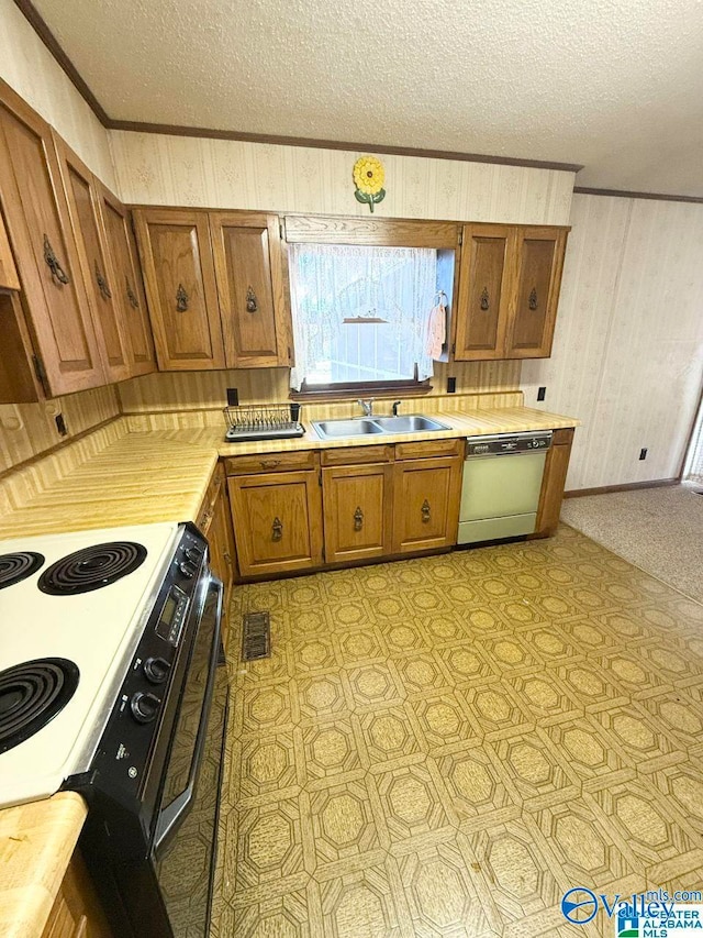 kitchen with black electric range oven, sink, dishwasher, ornamental molding, and a textured ceiling