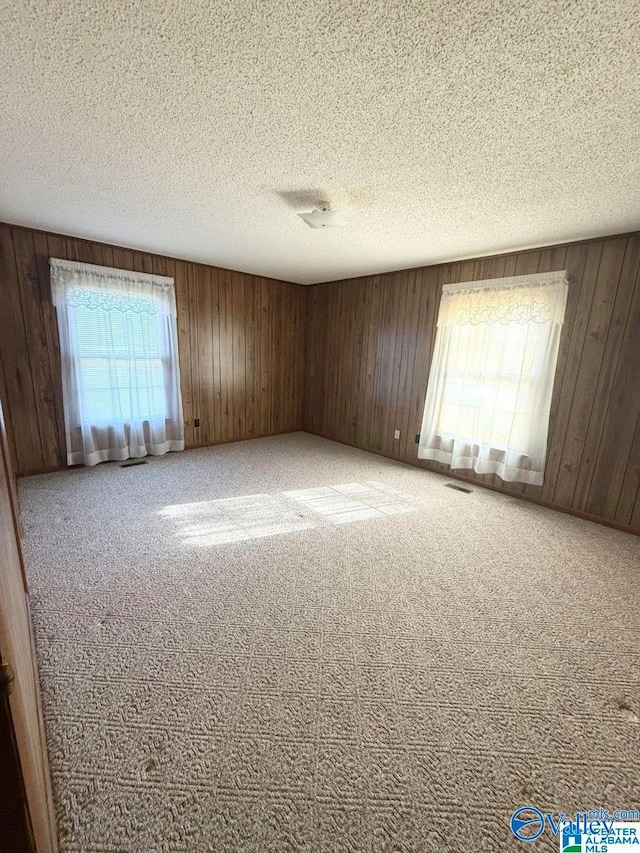 carpeted empty room with plenty of natural light, wooden walls, and a textured ceiling