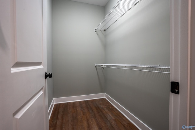 55 Edgewood St, Rainsville, AL 35986 - walk in closet featuring dark wood-style flooring