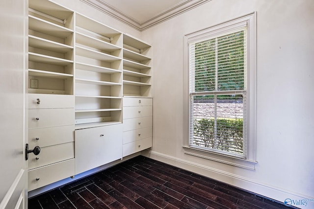 walk in closet featuring dark wood-type flooring