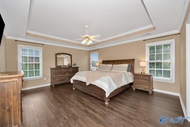 bedroom with multiple windows, dark hardwood / wood-style flooring, and a raised ceiling