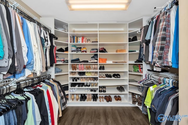 walk in closet with dark hardwood / wood-style floors