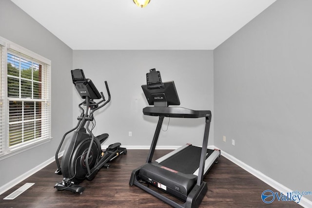 exercise room with dark hardwood / wood-style flooring