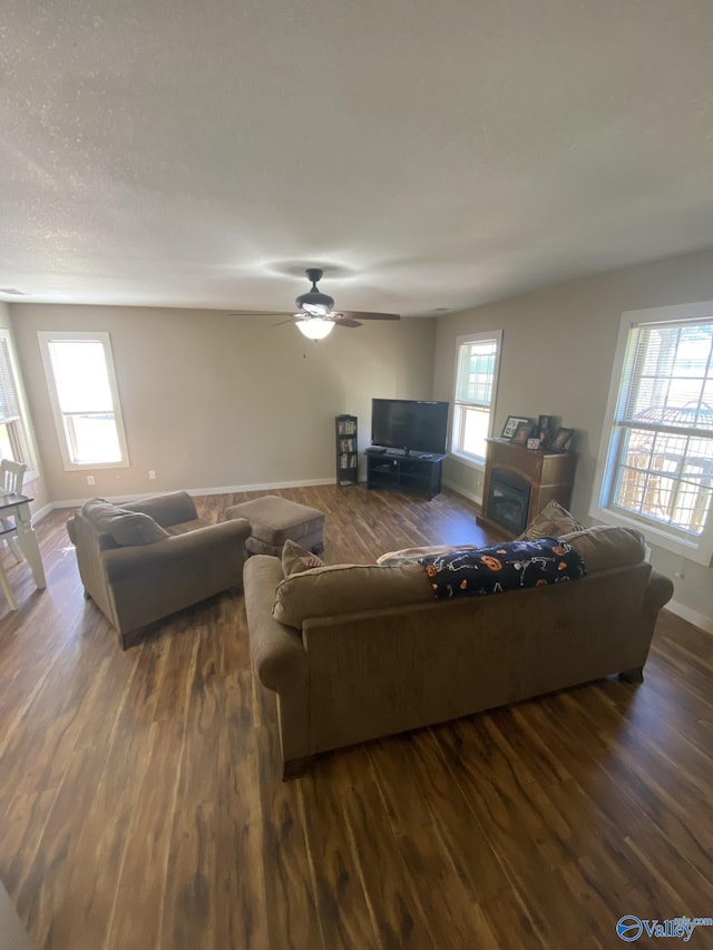 living room featuring ceiling fan and dark hardwood / wood-style flooring