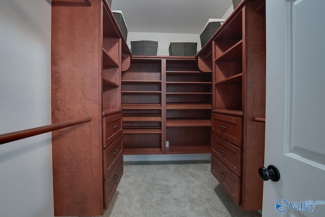 walk in closet featuring light colored carpet