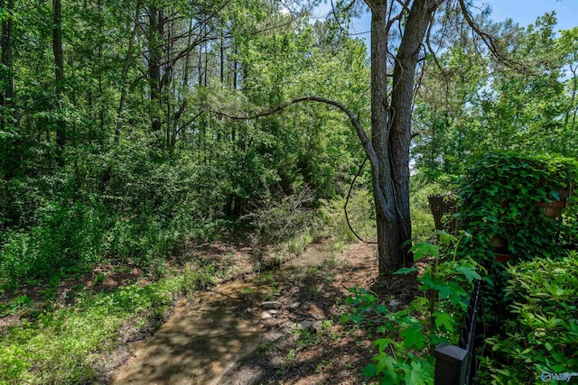 2600 SE Calumet Dr SE, Brownsboro, AL 35741 - view of tree filled area