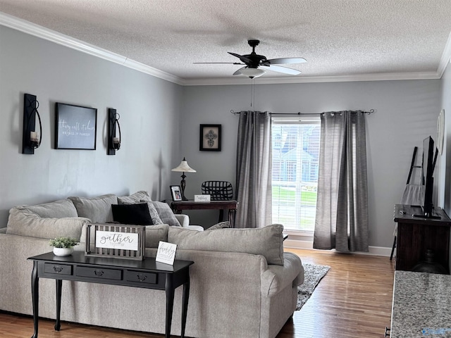 2032 Red Oak Ln NE, Arab, AL 35016 - living area featuring ceiling fan, wood finished floors, a textured ceiling, and ornamental molding