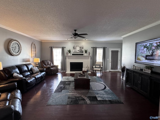 2032 Red Oak Ln NE, Arab, AL 35016 - living area featuring plenty of natural light, a ceiling fan, dark wood-type flooring, a textured ceiling, and crown molding