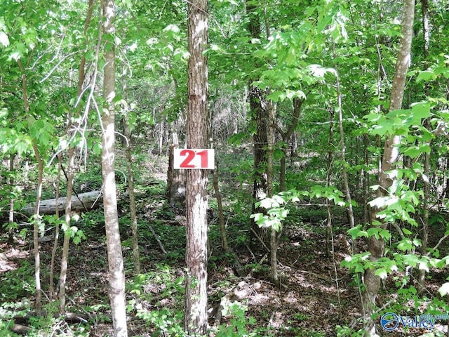 LOT21 Harbor Loop, Jasper AL, 35504 land for sale