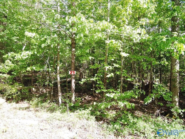 Listing photo 2 for LOT21 Harbor Loop, Jasper AL 35504