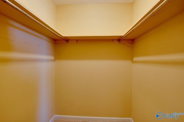 24430 Chadwick Dr, Athens, AL 35613 - walk in closet with carpet floors