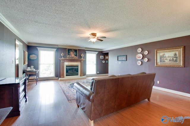 24430 Chadwick Dr, Athens, AL 35613 - living room with ornamental molding, ceiling fan, wood finished floors, a textured ceiling, and a glass covered fireplace