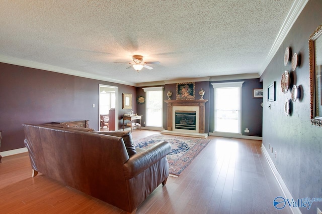 24430 Chadwick Dr, Athens, AL 35613 - living area with ceiling fan, a glass covered fireplace, wood finished floors, ornamental molding, and a textured ceiling