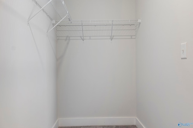 view of walk in closet