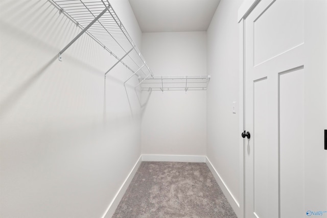 walk in closet featuring light carpet