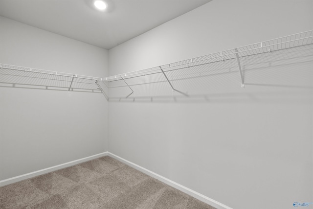 103 Gander Cir, Owens Cross Roads, AL 35763 - spacious closet featuring carpet flooring