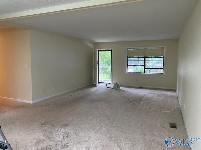 unfurnished room featuring plenty of natural light and light carpet